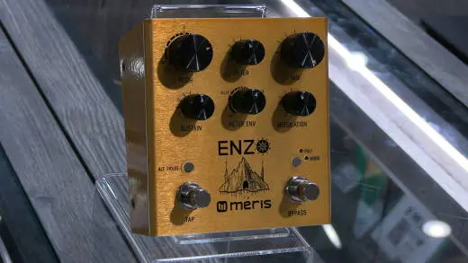 MERIS - ENZO 2